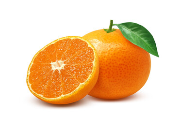 みかんのイラスト リアル ミカン