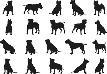 Silhouette collection of pitbull dogs, vector illustration, dog breed art, sitting and standing pitbulls, black dog silhouettes, pet graphics