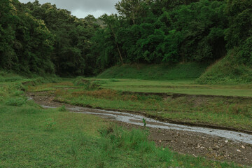 A creek or stream from the mountain in Doi Chang