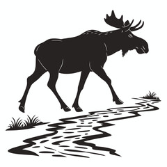 Moose walking in shallow stream silhouette