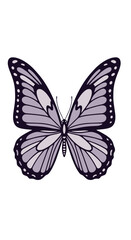 Elegant butterfly with intricate wing patterns, perfect for nature-themed designs and vibrant art