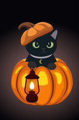Cat in a pumpkin. pumpkin on the cat's head. halloween. bats