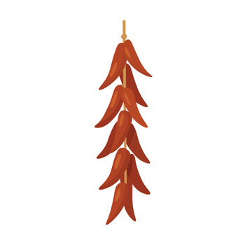 Hanging dried chili pepper ristra in soft flat vector style, isolated spice illustration.