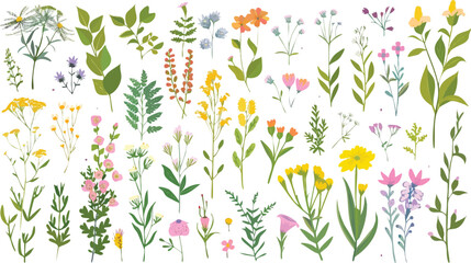 Obraz premium Natural botanical leaves set. Watercolor green foliage elements. Hand drawn floral herbs and plants for modern design.