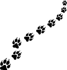 Paw Prints in the Snow A Series of Black and White Animal Tracks