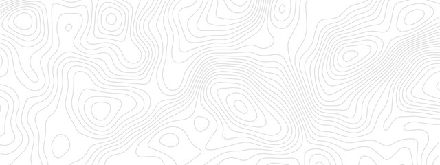 Stylized Abstract Landscape Pattern with Topographic Lines of Coastal and Mountain Regions in a Repeating Geometric Grid Layout
