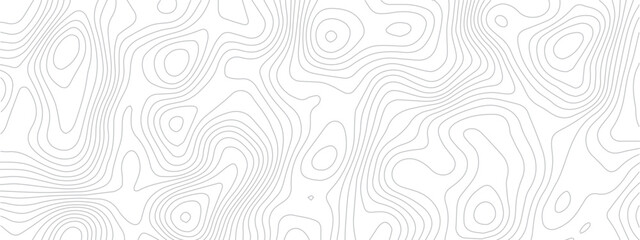 Abstract Geometric Line Pattern Depicting Sea Maps, Topography, and Discovery Areas on a Mounted Grid Landscape
