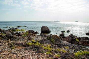 rocks on the beach