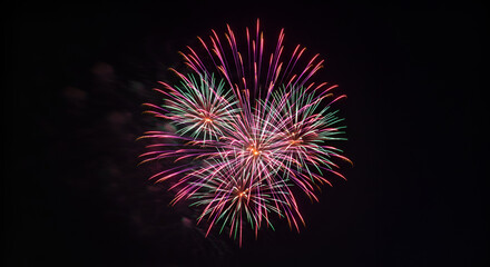 Colorful fireworks exploding brilliantly against dark night sky in celebration