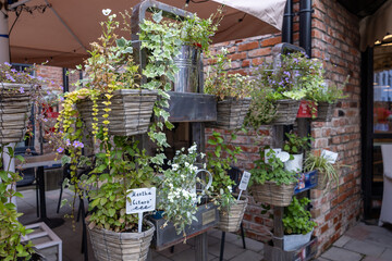 Herb plants in wicker pots on vertical metal stand near brick wall in outdoor restaurant terrace.