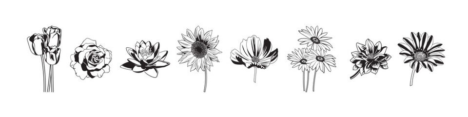 black white detailed flowers