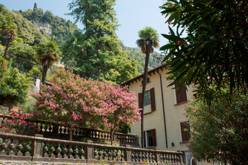 Charming Villa with Blooming Flowers and Lush Greenery