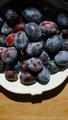 Close-up of fresh plums in a white ceramic bowl on a wooden surface. Summer harvest illuminated by soft natural light