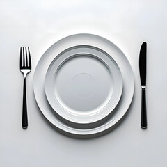 Classic Porcelain Plate for Culinary Use