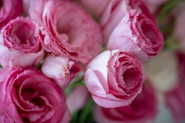 Bouquet of beautiful pink eustoma flowers on the table in the room. Flowers close-up.