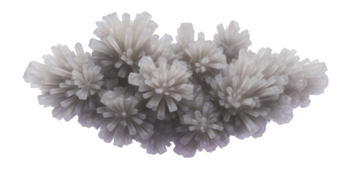 Aragonite specimen with purple fluorescence in UV light