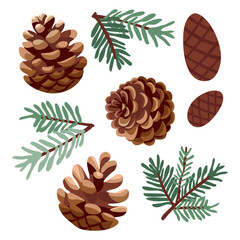 Christmas design with pine cones and branches. Vector illustration on isolated background.