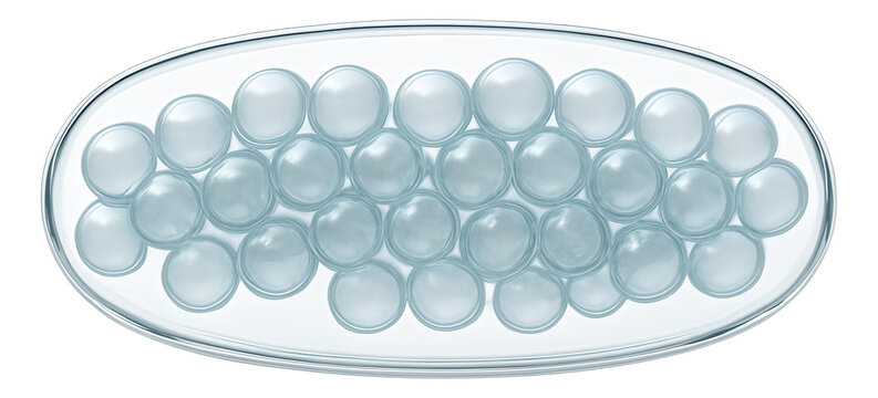 Gas vacuole in cyanobacteria with buoyant vesicles and transparent walls