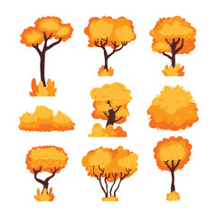Hand Drawn Autumn Tree Illustration Collection