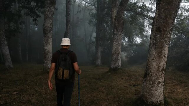 Alava province. Spanish Basque Country, A mature man walks through a foggy forest, enjoying the peace of nature 