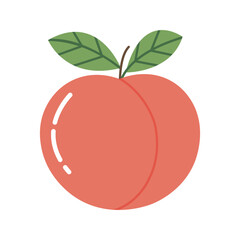 Cartoon peach fruit with green leaves is viewed against a white background