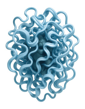 Isolated lactase enzyme with a folded globular form and hydrophobic core