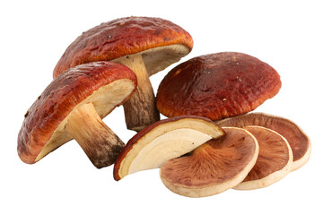 Fototapeta premium Nutritious and Earthy Mushrooms, Both Whole and Carefully Sliced, Photographed in a Studio Setting Against a Pure White Background, Ideal for Food Concepts and Healthy Cuisine