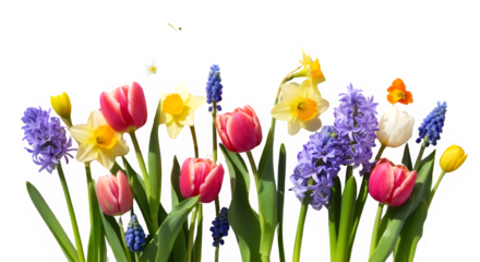 Seasonal themes (spring flowers, autumn leaves, winter snow.