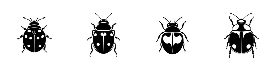 Different types of ladybugs displayed in black and white designs showcasing their unique patterns and shapes