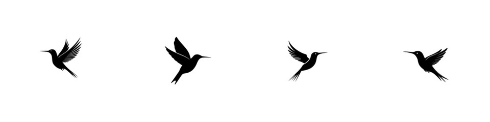 Obraz premium Hummingbirds in flight showcasing unique wing patterns against a simple backdrop