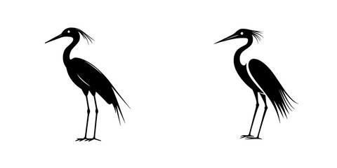 Fototapeta premium Elegant silhouettes of herons standing together in a natural setting at dawn