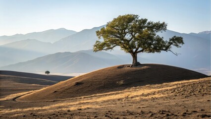 Fototapeta premium Solitary oak tree on a rolling hill under a clear blue sky