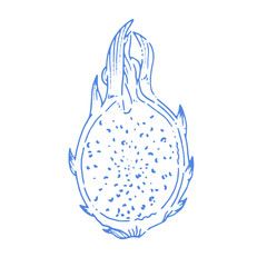 Hand-drawn vector line art of a whole dragon fruit in blue. This minimalist illustration is great for food packaging, labels, and graphics related to healthy lifestyles.