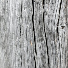 Obraz premium Gray weathered wood planks
