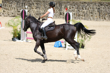 Competitive Equestrian Sport