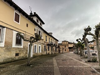 Obraz premium Main square of Fuentes de Nava in Palencia with historic facades and trimmed trees