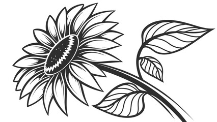 Detailed line art of a sunflower with leaves and stem in a black and white illustration style