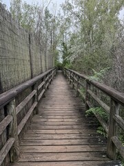Fototapeta premium Wooden walkway to El Prao bird observatory in Fuentes de Nava, Palencia