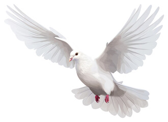 Obraz premium PNG Dove animal flying white.