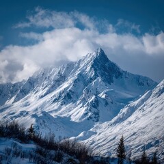 Fototapeta premium contrast snowy peaks and blue sky Alaska