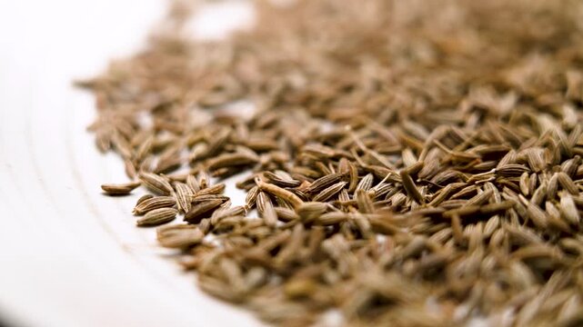 Falling aromatic dried cumin seeds in plate. Spicy Indian seasoning. Organic healthy herbal ingredient. Macro shot. Rotation