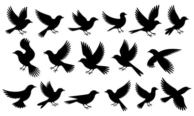 Set of silhouettes of birds isolated on white background. Vector illustration.