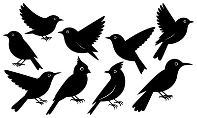 Set of black birds silhouettes isolated on white background. Vector illustration.