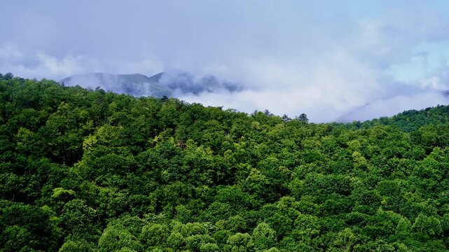 Cinematic aerial view immersing into fog layers.