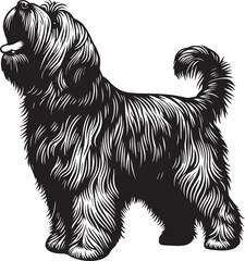 Briard Dog vector in black and white