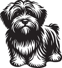 Briard Dog vector in black and white