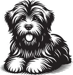 Briard Dog vector in black and white