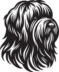 Briard Dog vector in black and white
