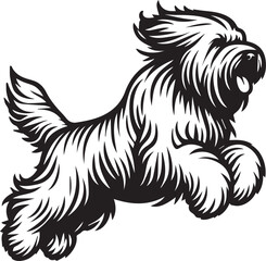 Briard Dog vector in black and white