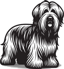 Briard Dog vector in black and white